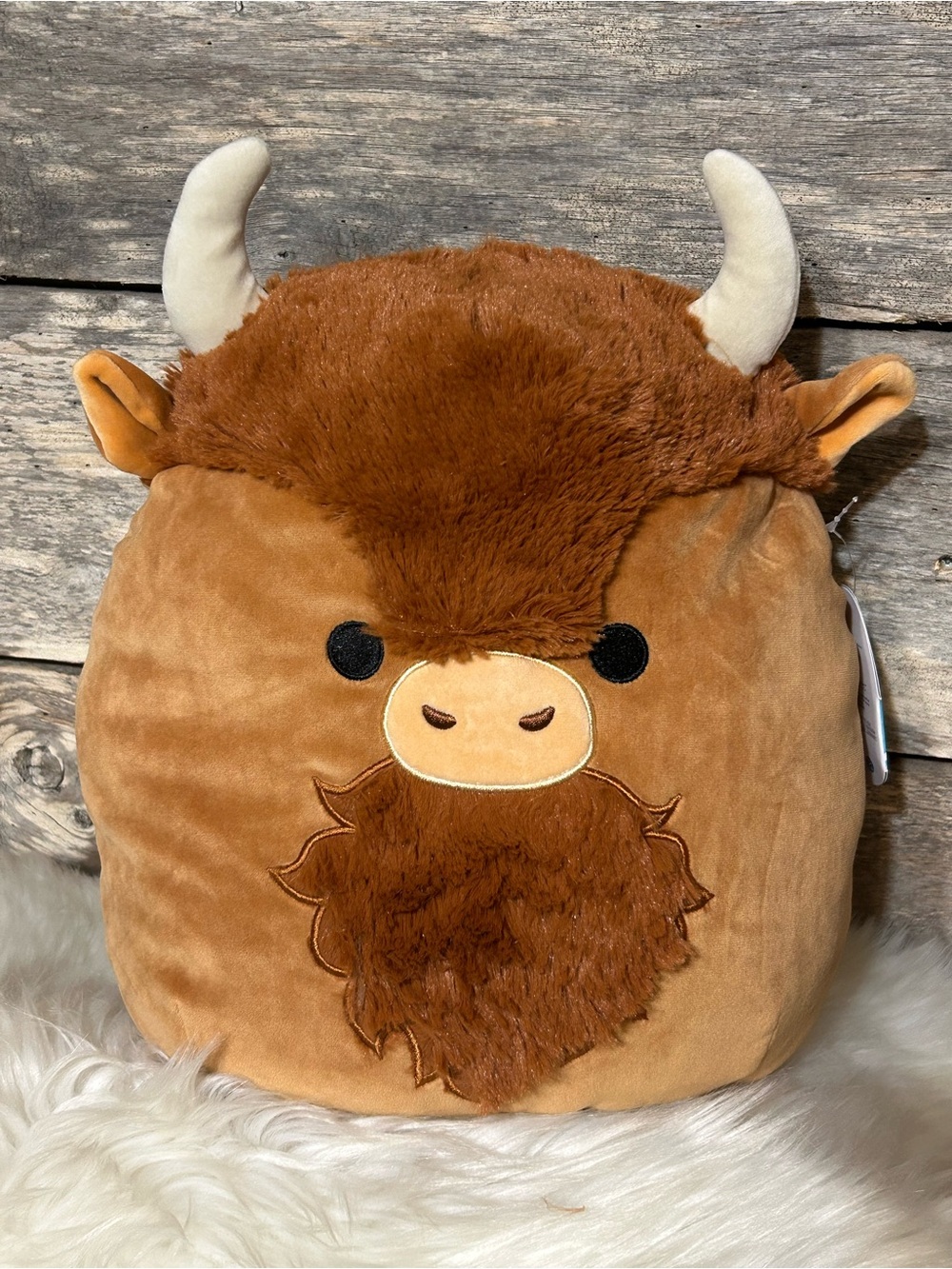 Dunkie 12” Squishmallows
